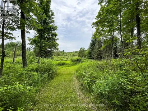 545413 4a Sideroad North Grey Highlands ON N0C 1H0