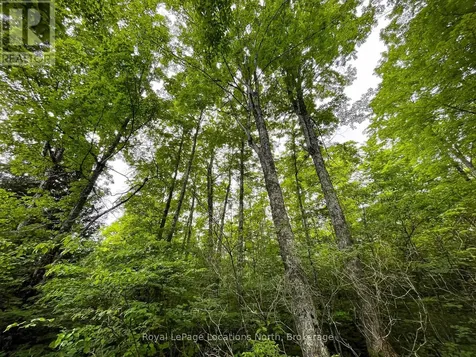 545413 4a Sideroad North Grey Highlands ON N0C 1H0