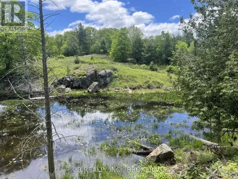 2970 Mountain Road Stone Mills (stone Mills) ON K0K 1Z0