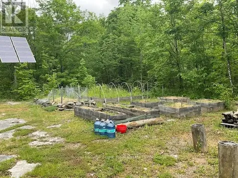 2848 County Road 36 Trent Lakes ON K0L 1J0