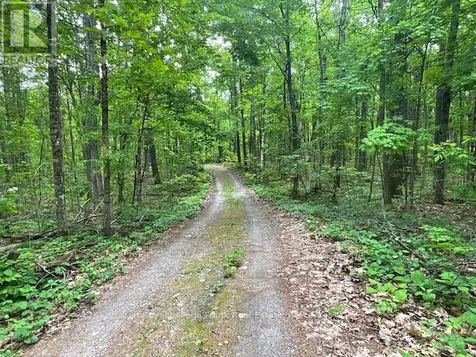 2848 County Road 36 Trent Lakes ON K0L 1J0