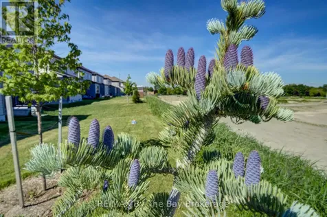 15 Union Boulevard Wasaga Beach ON L9Z 0M6