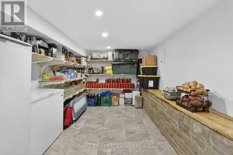 2946 Concession Road 3 Adjala-tosorontio ON L0G 1L0