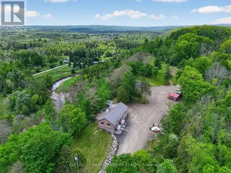 2946 Concession Road 3 Adjala-tosorontio ON L0G 1L0