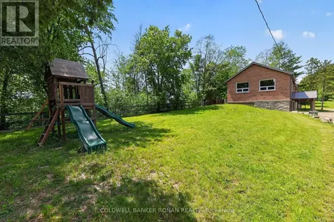 2946 Concession Road 3 Adjala-tosorontio ON L0G 1L0