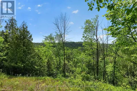2946 Concession Road 3 Adjala-tosorontio ON L0G 1L0