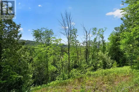 2946 Concession Road 3 Adjala-tosorontio ON L0G 1L0