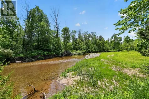 2946 Concession Road 3 Adjala-tosorontio ON L0G 1L0