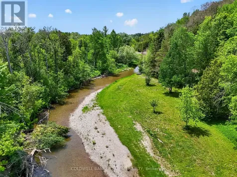 2946 Concession Road 3 Adjala-tosorontio ON L0G 1L0