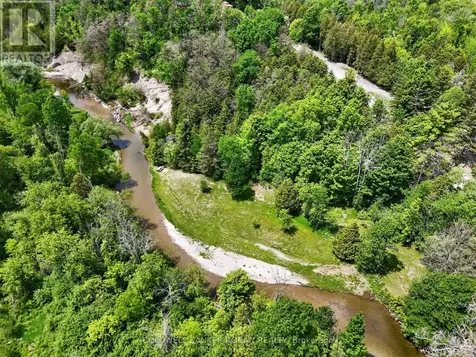 2946 Concession Road 3 Adjala-tosorontio ON L0G 1L0