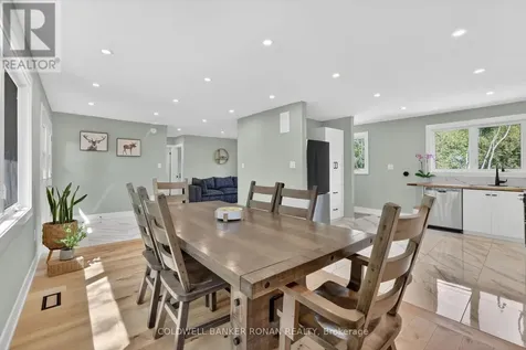 2946 Concession Road 3 Adjala-tosorontio ON L0G 1L0