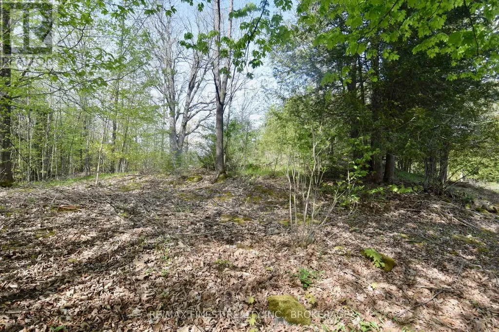 Lot 3 Ballantra Drive Stone Mills (stone Mills) ON K0K 3G0