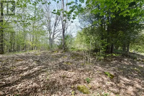 Lot 3 Ballantra Drive Stone Mills (stone Mills) ON K0K 3G0