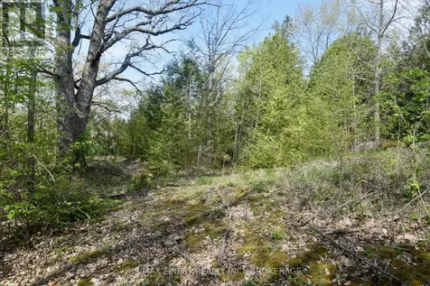 Lot 3 Ballantra Drive Stone Mills (stone Mills) ON K0K 3G0