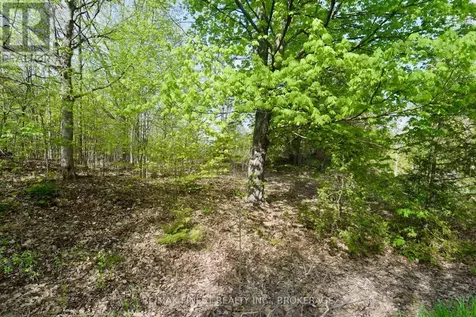 Lot 3 Ballantra Drive Stone Mills (stone Mills) ON K0K 3G0
