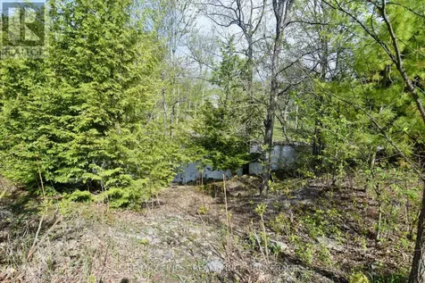 20 Ballantra Drive Stone Mills (stone Mills) ON K0K 3G0