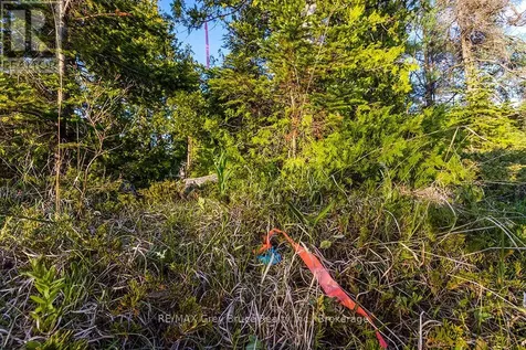 Unit 39 Tamarac Road Northern Bruce Peninsula ON N0H 2M0