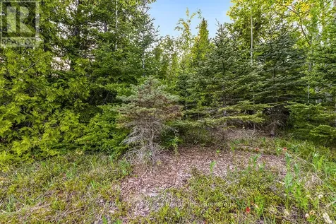 Unit 39 Tamarac Road Northern Bruce Peninsula ON N0H 2M0