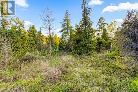 Unit 39 Tamarac Road Northern Bruce Peninsula ON N0H 2M0