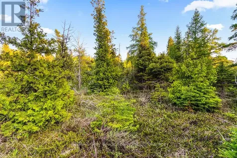 Unit 39 Tamarac Road Northern Bruce Peninsula ON N0H 2M0