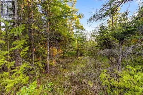 Unit 39 Tamarac Road Northern Bruce Peninsula ON N0H 2M0