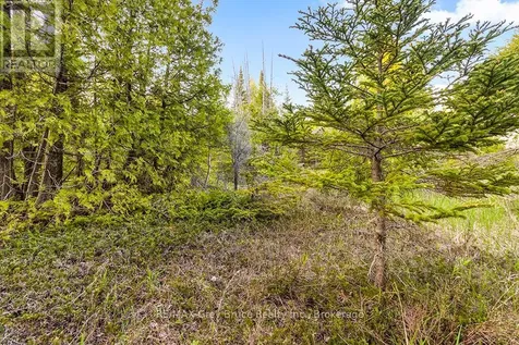 Unit 39 Tamarac Road Northern Bruce Peninsula ON N0H 2M0