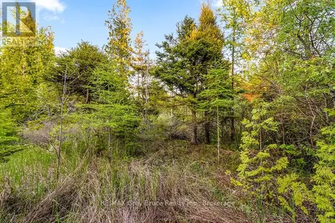 Unit 39 Tamarac Road Northern Bruce Peninsula ON N0H 2M0