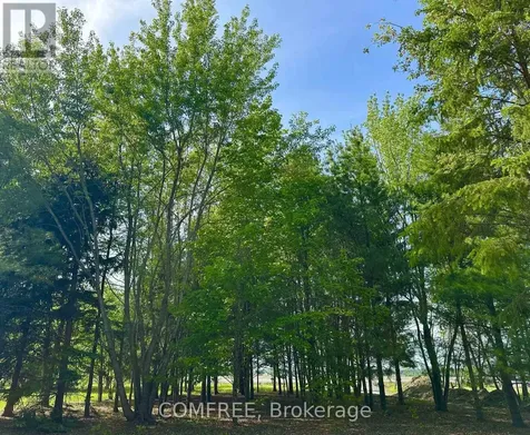 3646 Kinburn Side Road Ottawa ON K0A 2H0