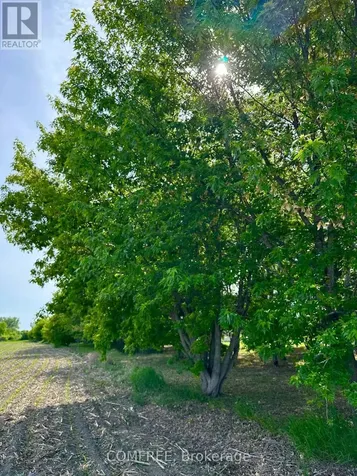 3646 Kinburn Side Road Ottawa ON K0A 2H0