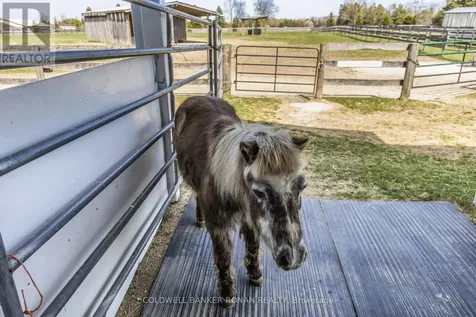 8058 20th Sideroad Adjala-tosorontio ON L0G 1L0