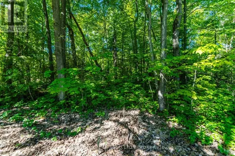 24 Poplar Drive Tiny ON L9M 0J2