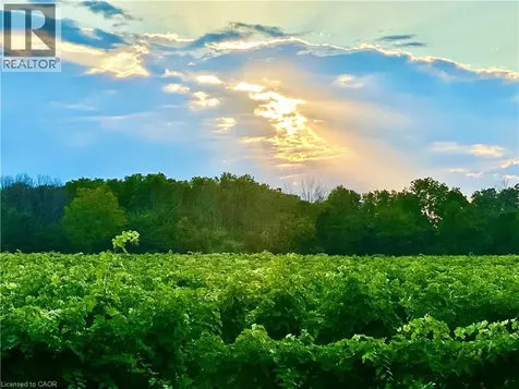 11 Meritage Lane Niagara-on-the-lake ON L0S 1J0