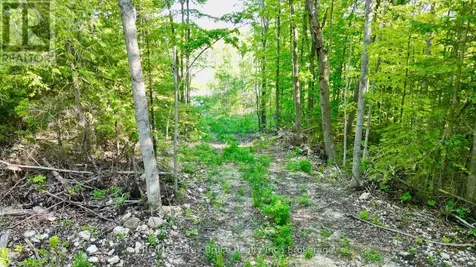 150 Clarkes Road East Northern Bruce Peninsula ON N0H 1W0