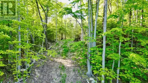 150 Clarkes Road East Northern Bruce Peninsula ON N0H 1W0