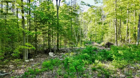 150 Clarkes Road East Northern Bruce Peninsula ON N0H 1W0