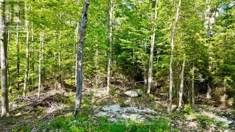 150 Clarkes Road East Northern Bruce Peninsula ON N0H 1W0