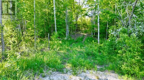 150 Clarkes Road East Northern Bruce Peninsula ON N0H 1W0