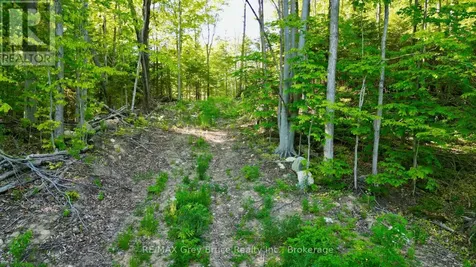 150 Clarkes Road East Northern Bruce Peninsula ON N0H 1W0