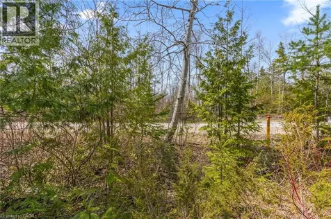 37 Emerson Avenue Sauble Beach ON N0H 2G0