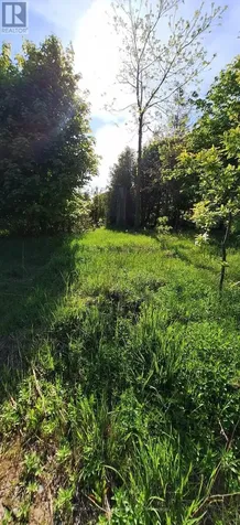 610 Second Avenue South South Bruce Peninsula ON N0H 2G0