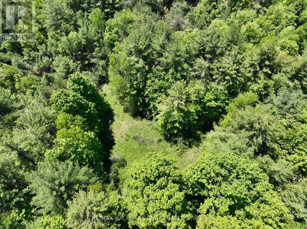 1676 Old Second Road South Springwater ON L9X 1P1