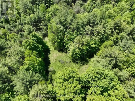 1676 Old Second Road South Springwater ON L9X 1P1