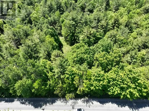 1676 Old Second Road South Springwater ON L9X 1P1
