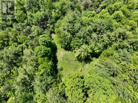 1676 Old Second Road South Springwater ON L9X 1P1