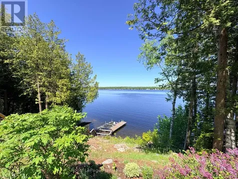 944 Birchcliff Drive Douro-dummer ON K0L 2H0