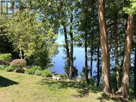 944 Birchcliff Drive Douro-dummer ON K0L 2H0