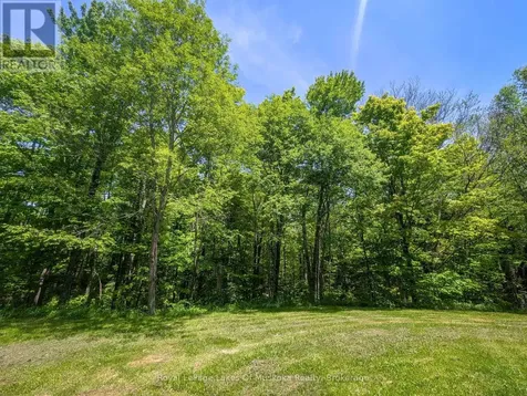 722 South Horn Lk Road Armour ON P0A 1C0