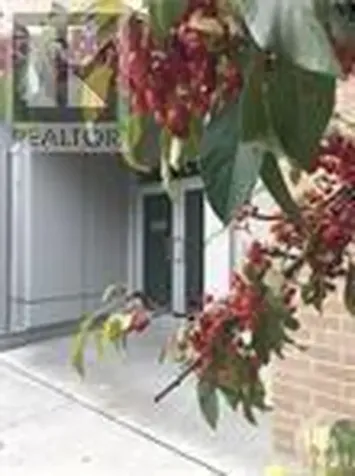 235 Patterson Avenue Ottawa ON K1S 1Y4