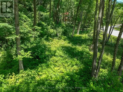 10096 Pinery Bluffs Rd, Lot 3 Road Lambton Shores ON N0M 1T0