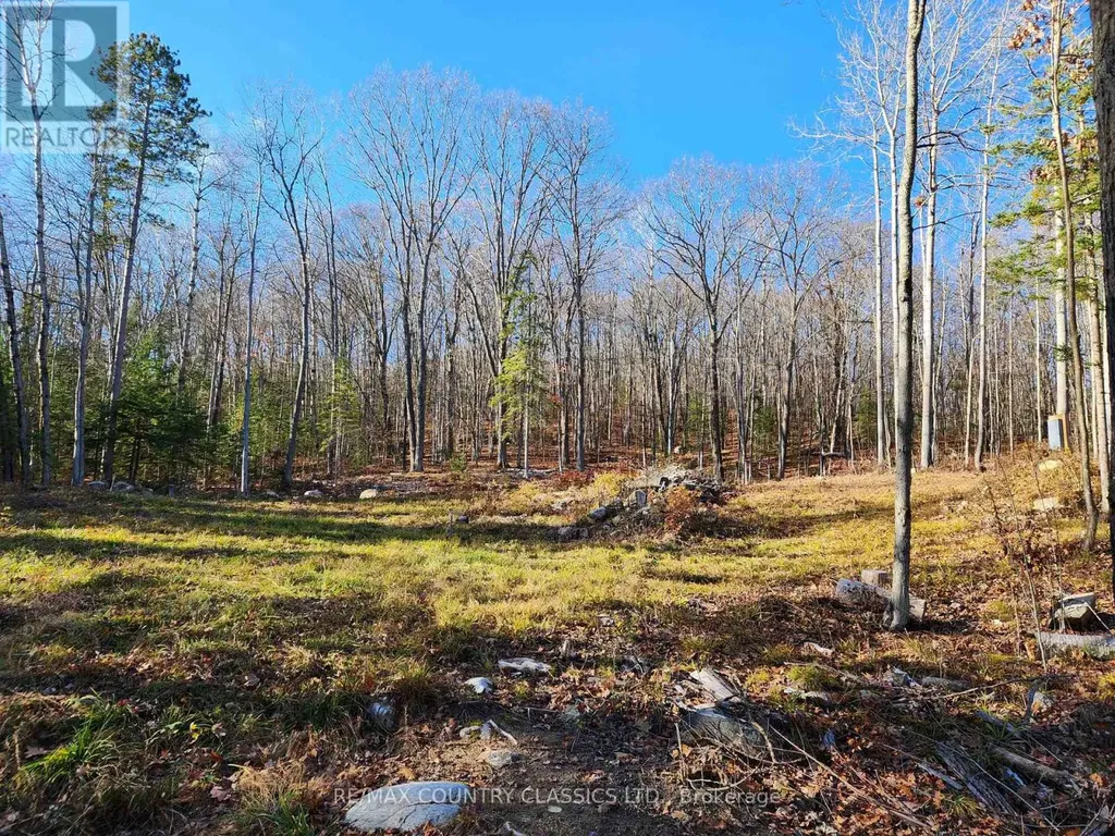 790 Mitchell Road Madawaska Valley ON K0J 1B0